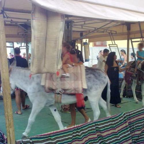 Donkey carousel