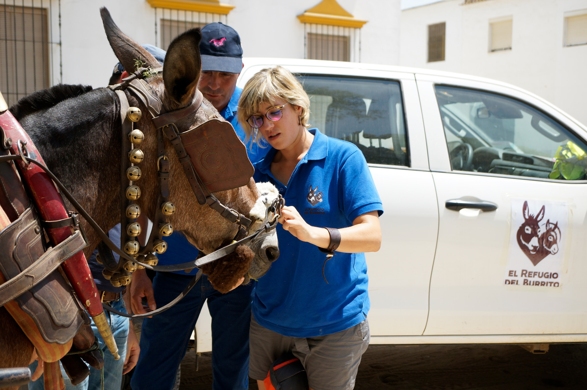 Coral Ruiz advising Rociero on protecting his mule´s nose injury caused by serrated noseband