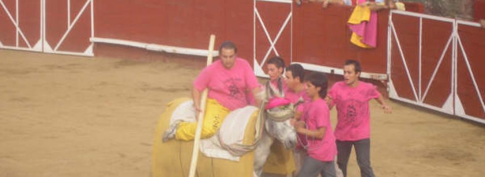 Donkey in a bullfight