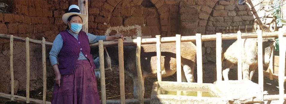 Julia Condori with donkeys Filemón and Valentina in a shelter built with support from the project.