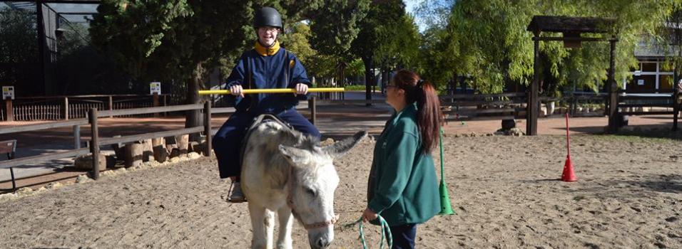 Dani during donkey assisted therapy
