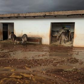los prados quedan anegados tras las inundaciones en le Refugio del Burrito