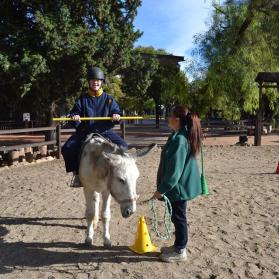 Dani during donkey assisted therapy