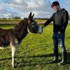 kaiden with donkey in Leeds sanctuary
